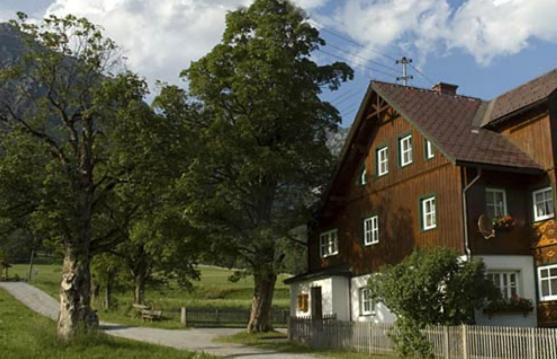 Appartements Wieseneck - Ramsau Am Dachstein - Inklusive Sommercard ! Ramsau am Dachstein Exterior foto