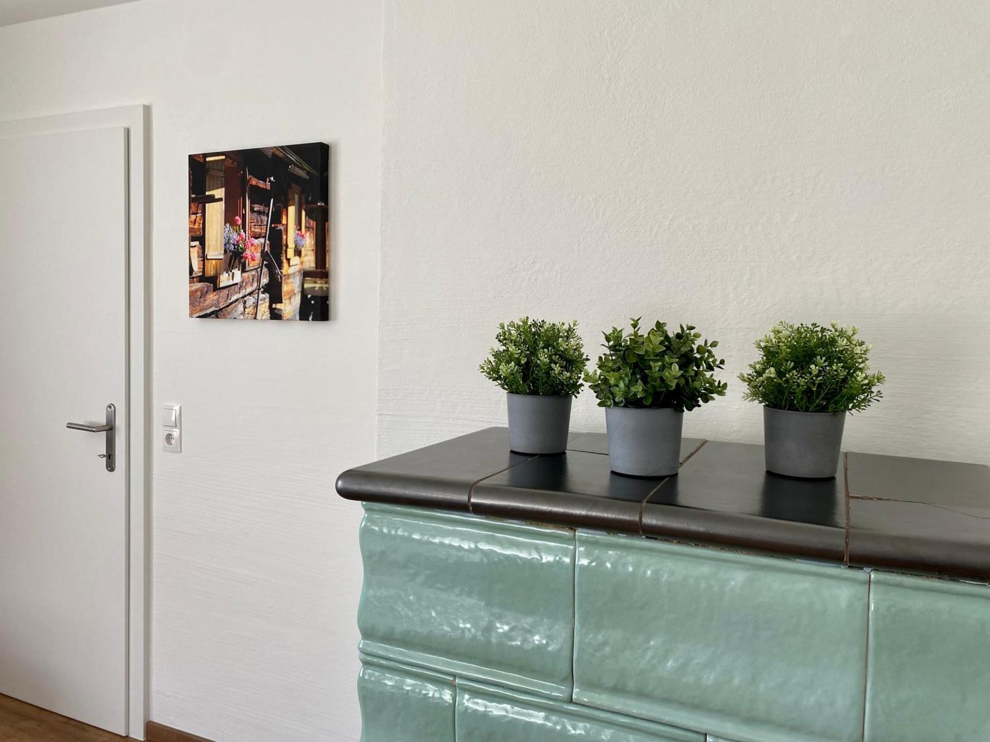 Appartements Wieseneck - Ramsau Am Dachstein - Inklusive Sommercard ! Ramsau am Dachstein Exterior foto
